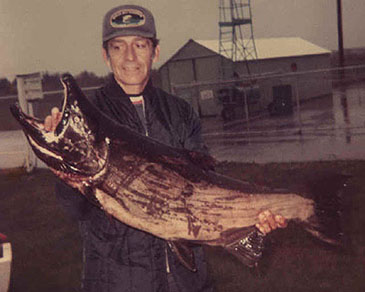 Record photograph for Oncorhynchus kisutch